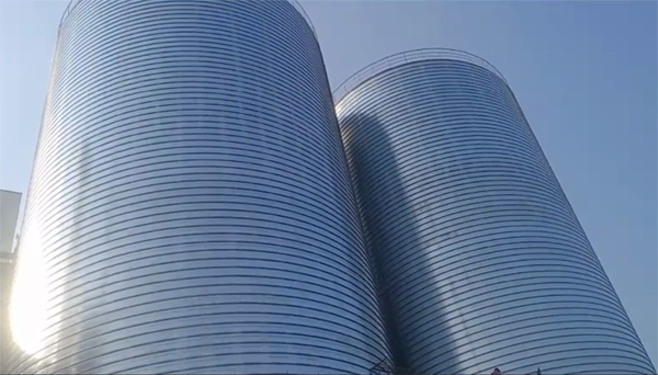 鹿寨2座混凝土高架卷板仓